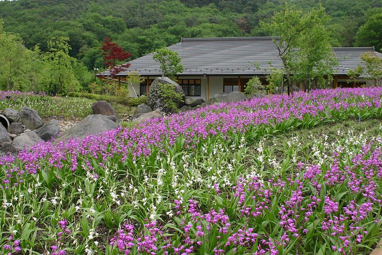 万葉庭園