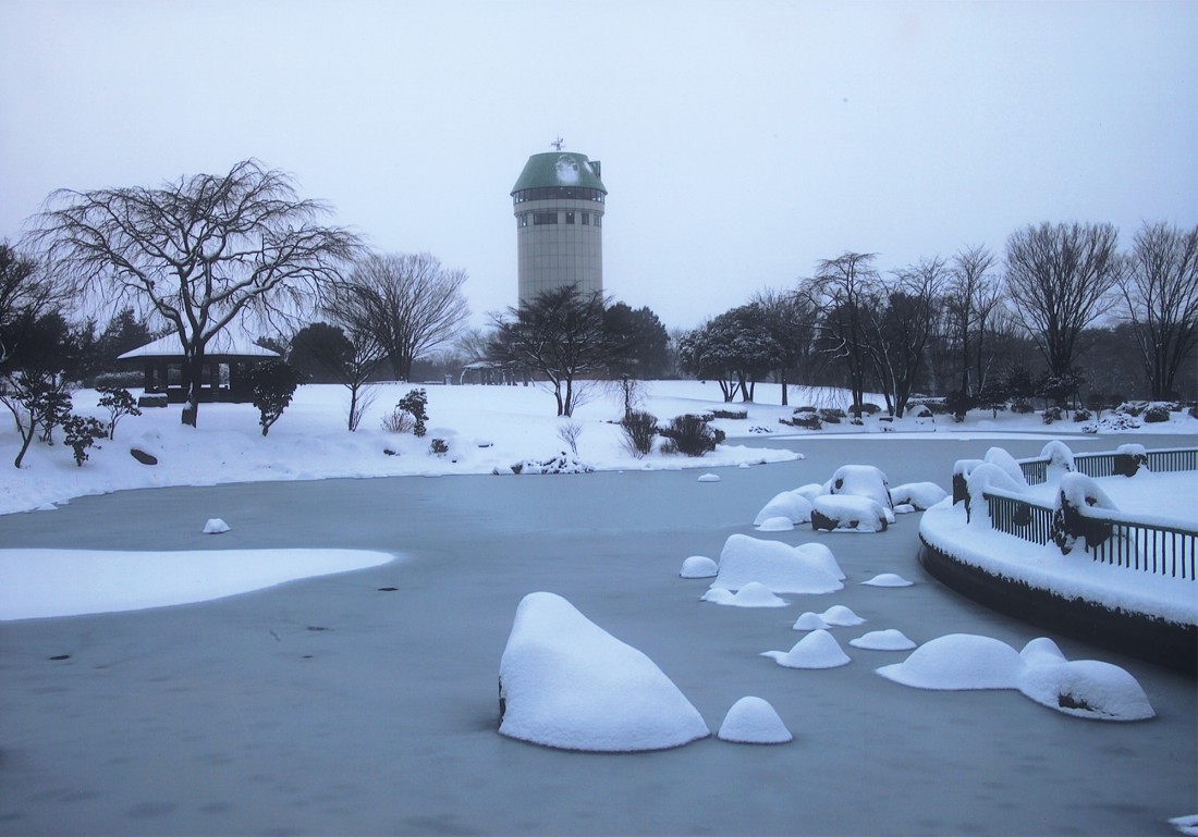【冬】凍てつく寒さの大池