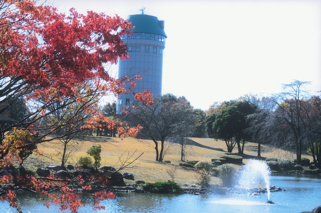 【秋】大池から「サンサンタワー」を望む
