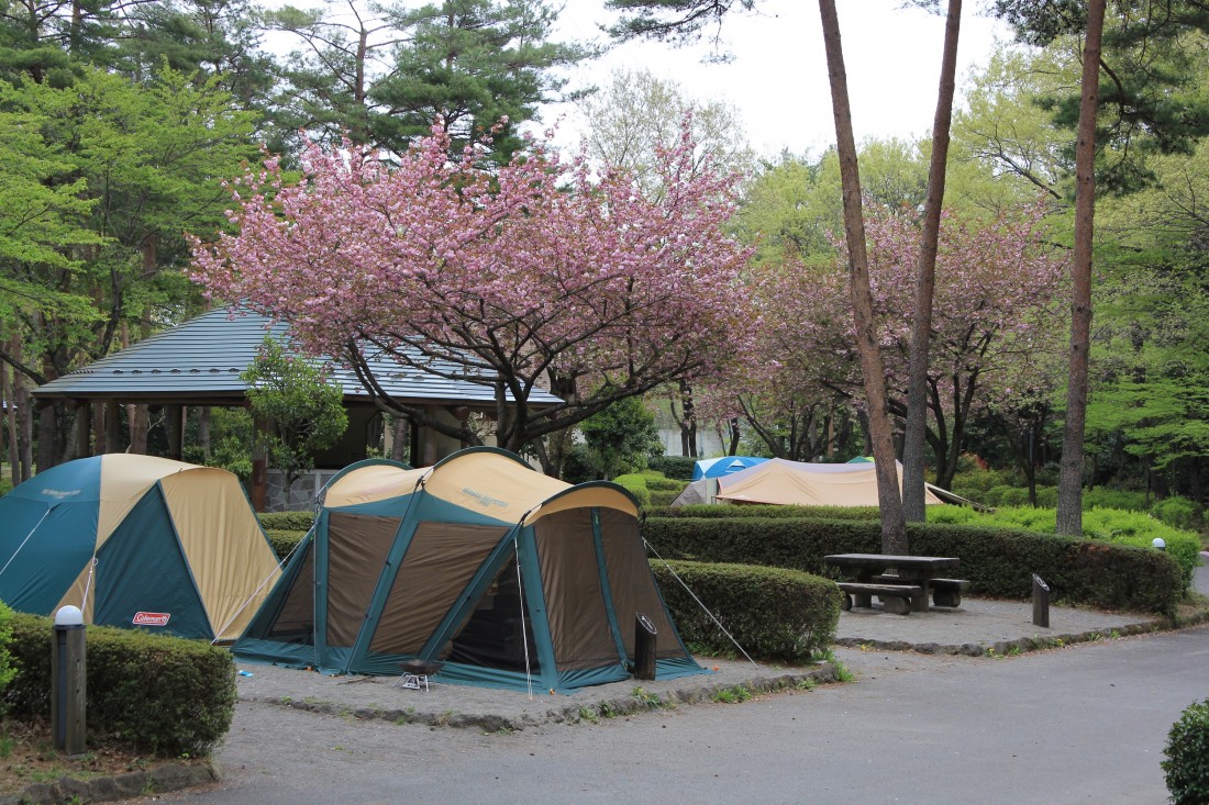 オートキャンプサイト 那須野が原公園