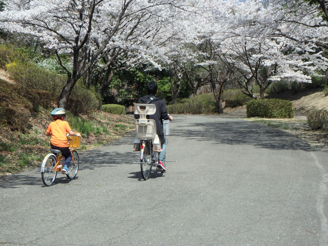 貸自転車【有料】