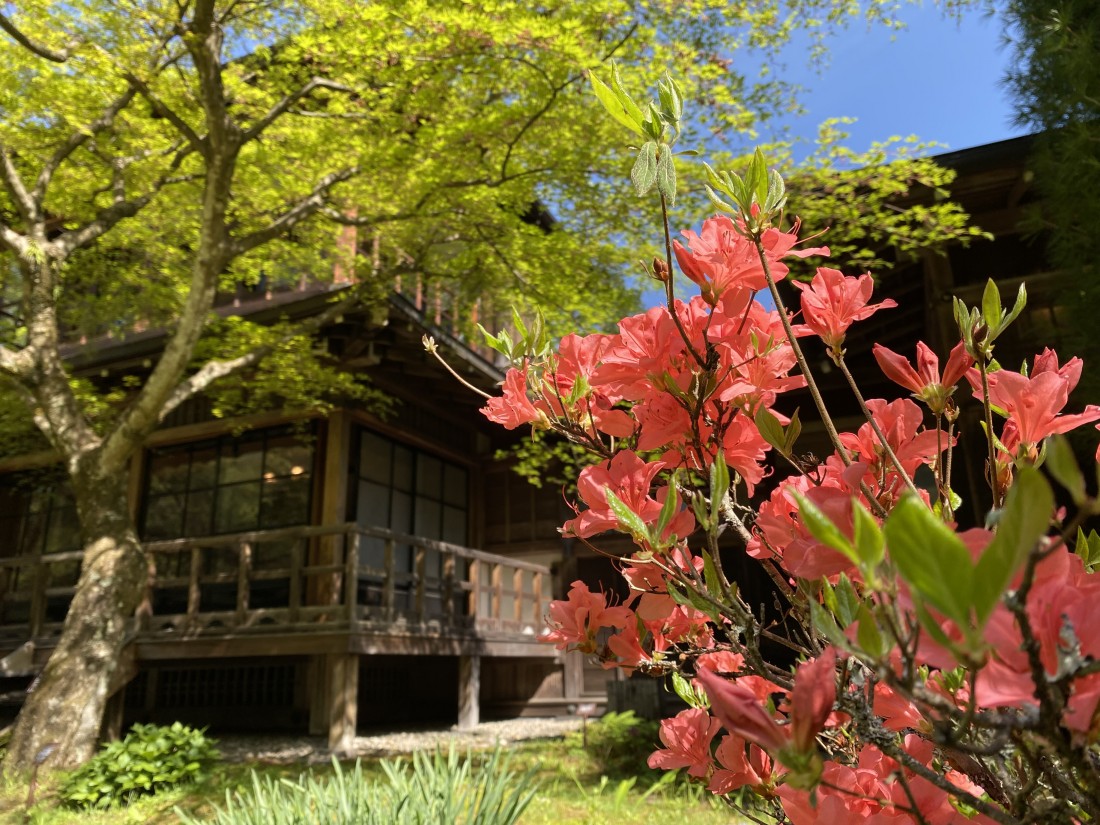 花情報　4月