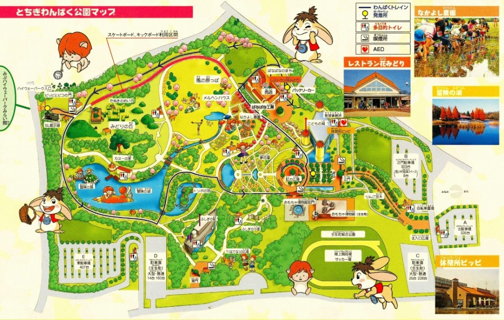 施設の紹介 とちぎわんぱく公園