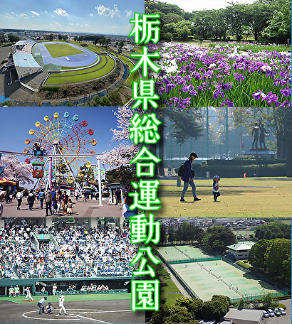 栃木県総合運動公園