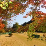 紅葉の中のグランドゴルフ