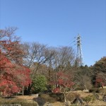 鉄塔の見える公園