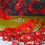 紅葉とボート