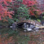 松景橋の紅葉